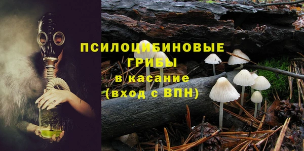 дживик Касимов