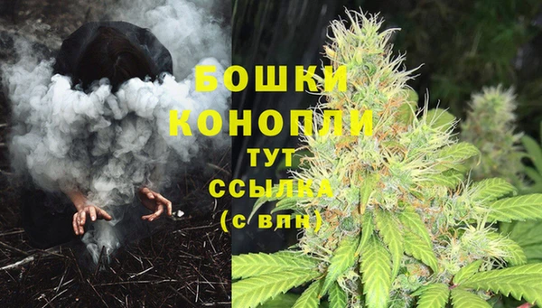 дживик Касимов