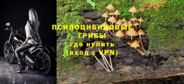 прущие крисы Карталы