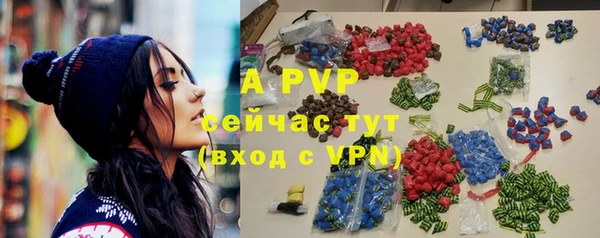 дживик Касимов