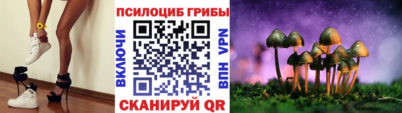 Галлюциногенные грибы прущие грибы  Купить закладки  Волоколамск 